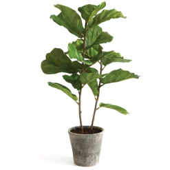 43 in. Fiddle Leaf Fig Topiary Tree