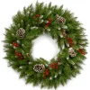 24 in. Frosted Berry Wreath
