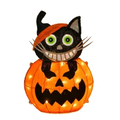 23 in. Halloween Pre-Lit Pumpkin and Black Cat Lighted Sign Decoration with LED Lights