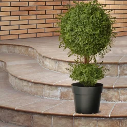 30 in. Mini Tea Leaf 1 Ball in Green Round Growers Pot