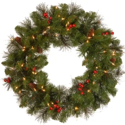 24 in. Pre-Lit Crestwood Spruce Wreath with Twinkly LED Lights