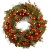 24 in. Pre-Lit Decorative Collection Red Mixed Wreath with Warm White LED Lights