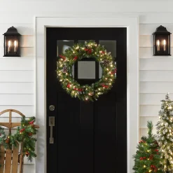 24 in. Pre-Lit Frosted Berry Wreath with Clear Lights, Plug-In
