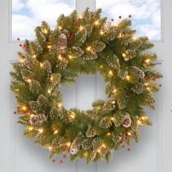 24 in. Pre-Lit Glittery Mountain Spruce with LED Lights