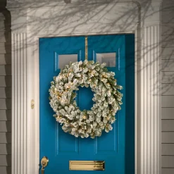 24 in. Pre-Lit Snowy Sheffield Spruce Wreath with Twinkly LED Lights