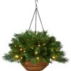 20 in. Pre-Lit Tiffany Fir Hanging Basket with Warm White LED Lights
