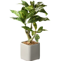 11 in. Spring Croton Tree Potted Plant in a Stylish Ceramic Pot Base