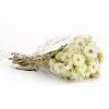 16 in. Spring Dried Natural Capeblumen Flowers Bouquet