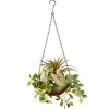 9 in Spring Hanging Basket with Green Leaf Plants, Vines in a Brown Pot