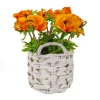10 in. Spring Orange Anemone Flower Bouquet in White Basket