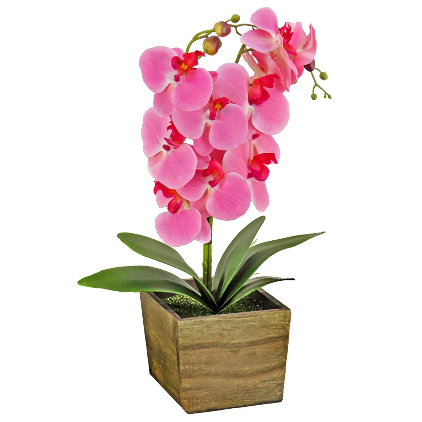 21 in. Spring Pink Orchid Flower in Wood Box