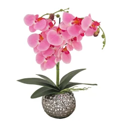 21 in. Spring Pink Orchid in Silver Smooth Ceramic Pot