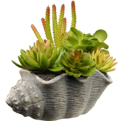 11 in. Spring Potted Plant with Various Green and Orange Succulents in a Stylish Conch Shell Cement Pot