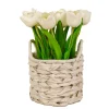 10 in. Spring White Tulip Bouquet in White Basket