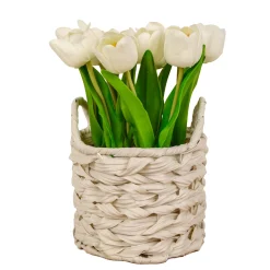 10 in. Spring White Tulip Bouquet in White Basket