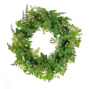 24 in. Spring Wreath with Ivy, Fern Leaves, Seed Pods, and Flowing Green Stems