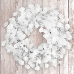 24 in. Winter Frost White Wreath