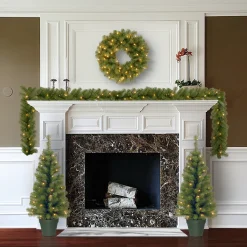 Evergreen Assortment with 2 Entrance Trees, 1 Wreath, 1 Garland