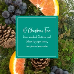 Scented Ornaments, 2- Pack- 6ct Bottle, O Christmas Tree, Fragrance-Infused Paper Sticks