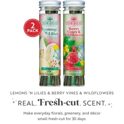 Scentsicles, 6pc Stick, 1 Lemon 'n Lilies/ 1 Berryvines & Wildflowers- 2 pack