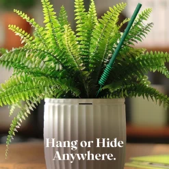 Scentsicles, 6pc Stick, 1 Sun-Soaked Lavender/1 Honeysuckle Rose- 2 pack