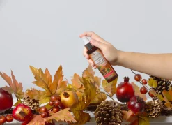 Scentsicles 6pc Stick and Spray Spiced Pine Cones - 2 Pack