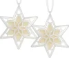 Scentsicles, Scented Star Ornament, White Winter Fir, 2-Pack
