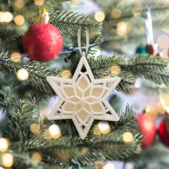 Scentsicles, Scented Star Ornament, White Winter Fir, 2-Pack