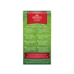 Scentsicles, Scented Star Ornament, White Winter Fir, 2-Pack