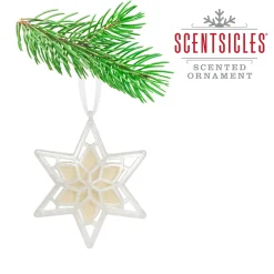 Scentsicles, Scented Star Ornament, White Winter Fir, 2-Pack